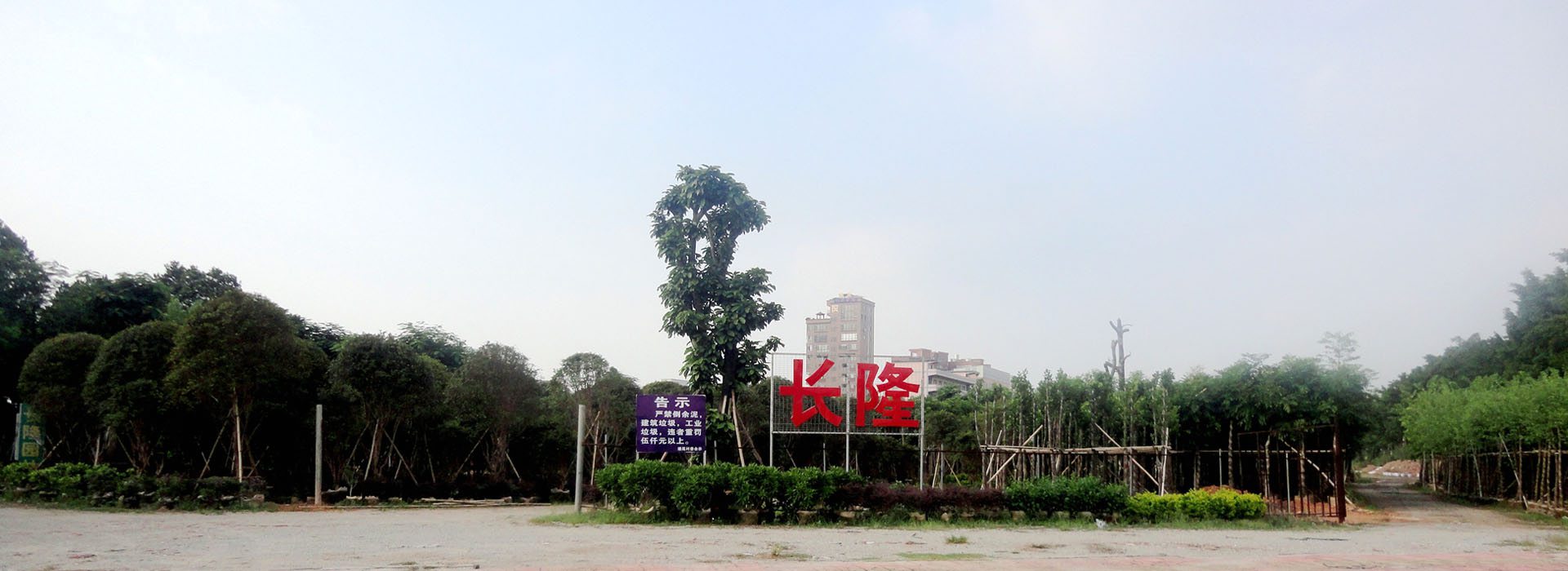 專業(yè)的綠化養(yǎng)護(hù)團(tuán)隊(duì)