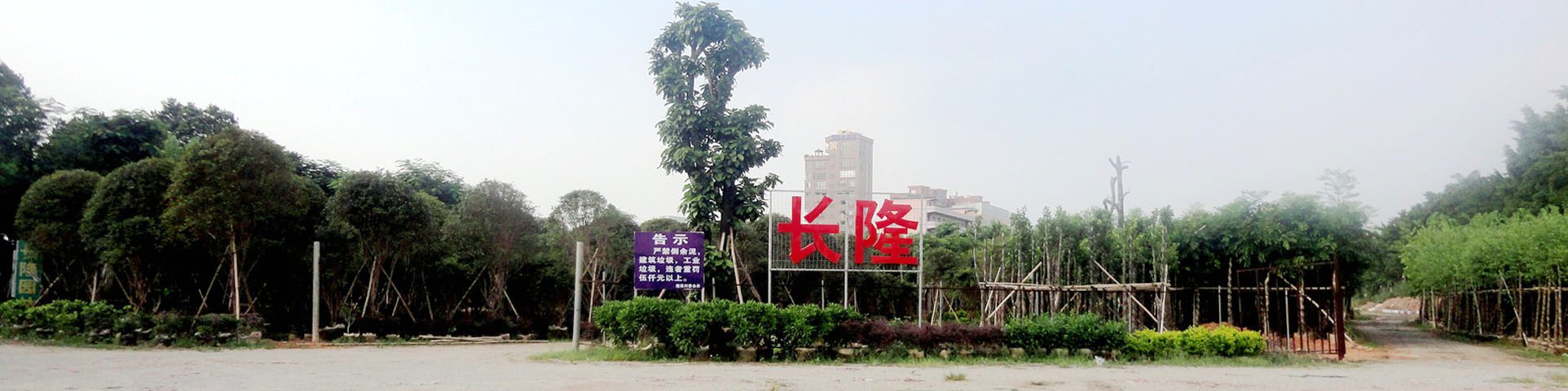 如果你有一個庭院,可以做個中國錦鯉魚池