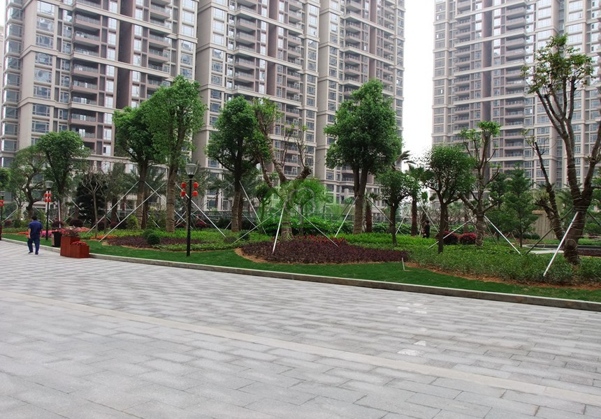 虎門(mén)龍泉豪苑綠化工程
